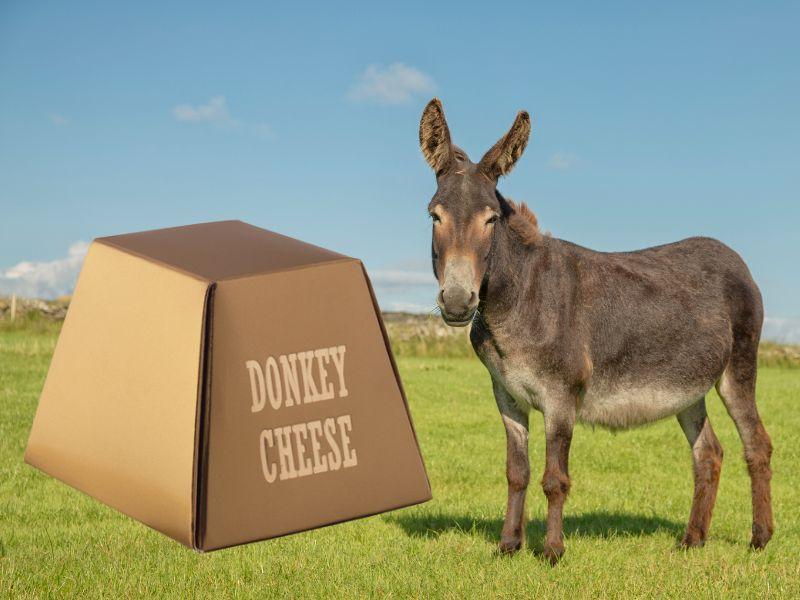 Zašto je magareći sir iz Srbije najskuplji na svetu?