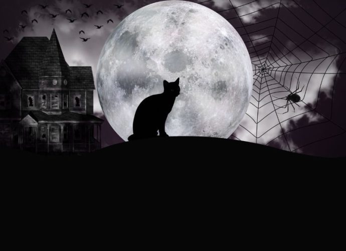 Zašto se slavi Noć veštica?, Pixabay