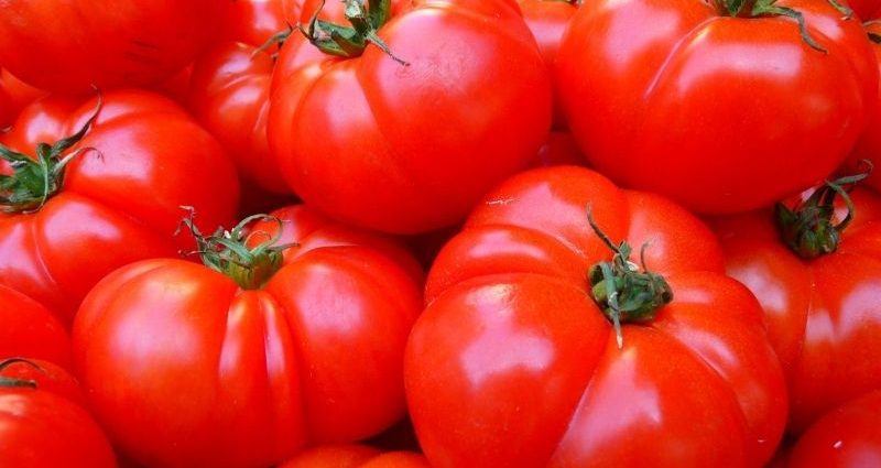 Kako se pravi paradajz