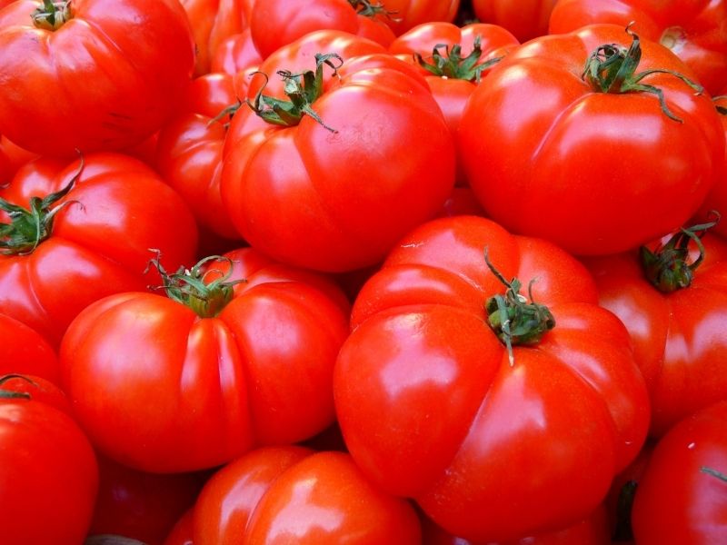 Kako se pravi paradajz