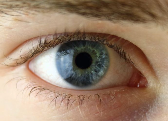 imunitet oka zašto su nam trepavice neophodne