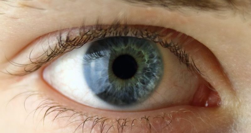 imunitet oka zašto su nam trepavice neophodne