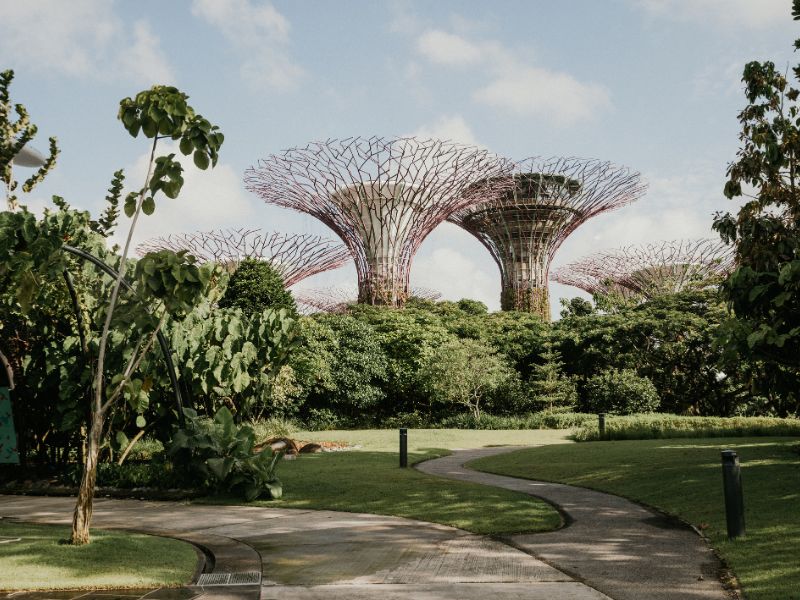 singapurska zarada, plata u singapuru, zivot u singapuru, azija
