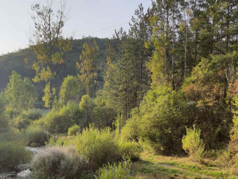 stara planina, uvac, srbija, balkan