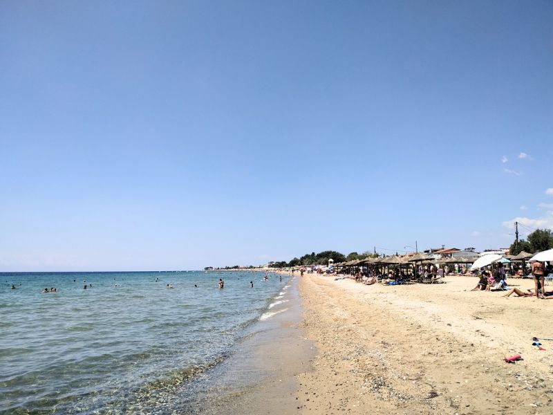 nea flogita, halkidiki, grcka