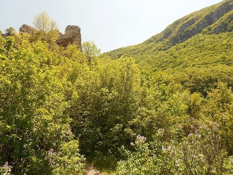sokograd, tvrđava sokograd, sokobanja,