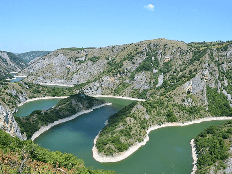 specijalni rezervat prirode uvac, uvac, zbog čega je zaštićen uvac,