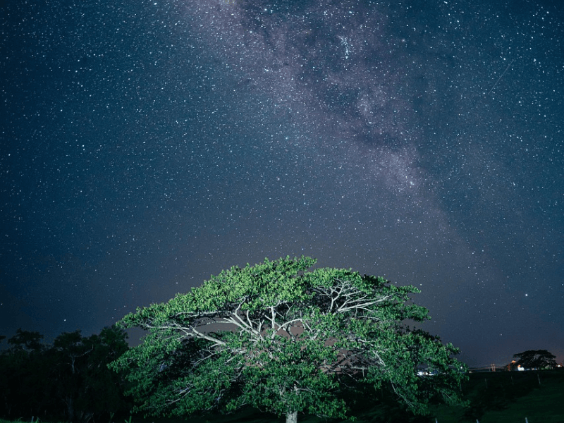 zanimljivosti o svemiru, što čini svemir, svemir, zanimljivosti o svemiru za djecu, zanimljivosti o svemiru za decu, svemir zanimljivosti, kosmos, vasiona, univerzum,