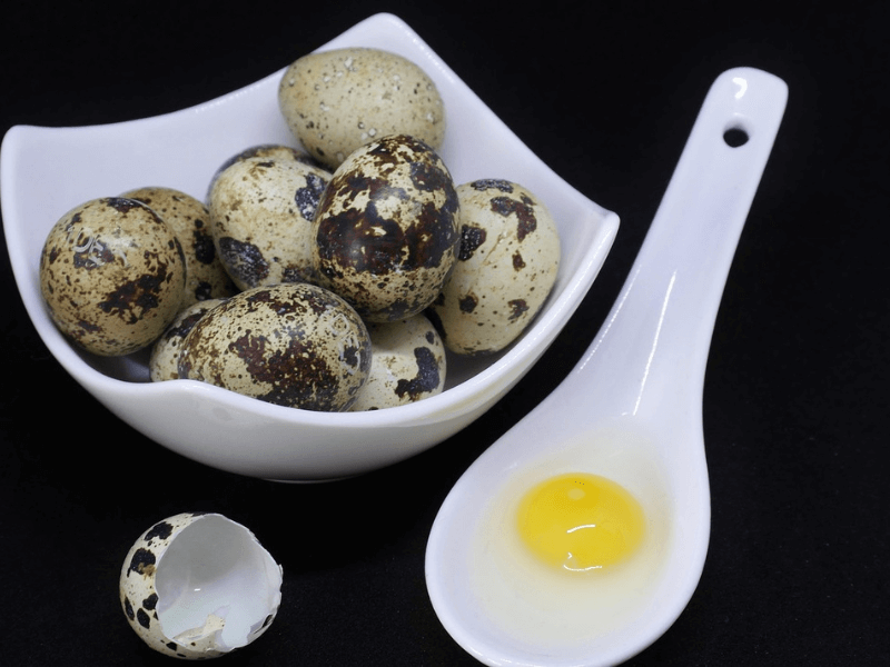 jaja od prepelice, jaja od prepelice za imunitet, kako se piju jaja od prepelice, zasto su dobra jaja od prepelice, za šta su dobra jaja od prepelice, jaja od prepelice zdravlje, za sta su dobra prepelicja jaja, prepelica jaja zdravlje, jaja od prepelice iskustva, jaja od prepelice za sta su dobra,