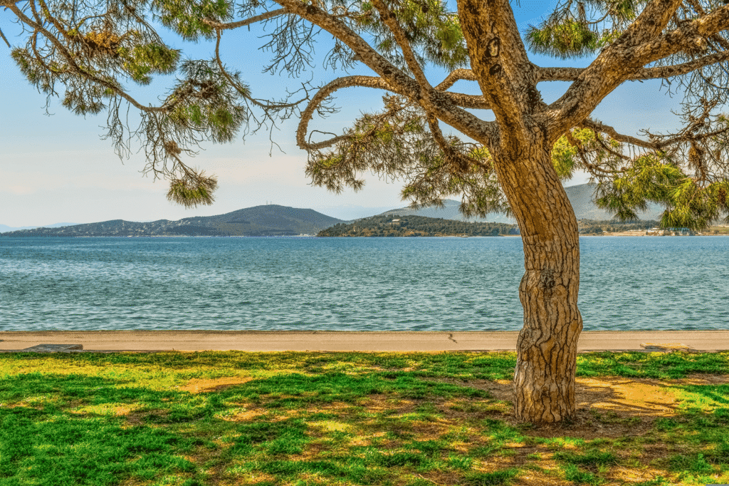 volos pilion, volos, volos plaze, volos grčka mapa, volos grčka iskustva, volos letovanje, volos sta videti, volos beograd km, pilion, larisa, grčka 2026, letovanje grcka 2026, letovanje grcka, grcka, volos greece, volos leto, volos tesalija, gde se nalazi volos,