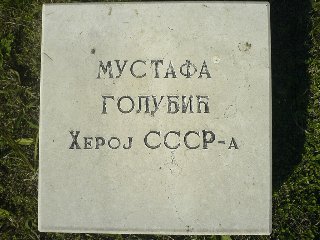 ko je bio mustafa golubić, mustafa golubic, mustafa golubić, ko je mustafa golubić, mustafa golubić biografija, mustafa golubic biografija, mustafa golubić smrt, mustafa golubić crna ruka, mustafa golubić trocki,