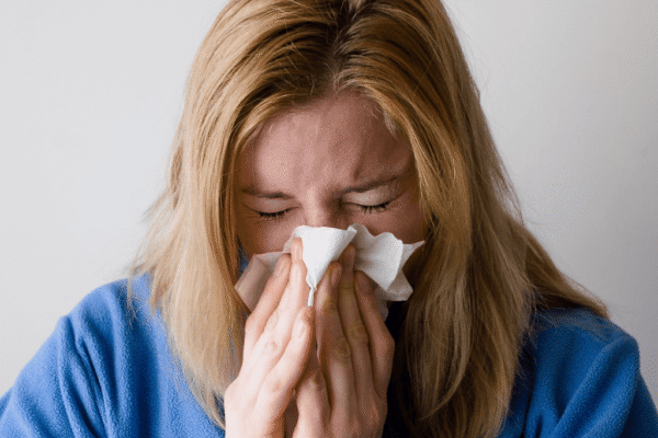 hantavirus, hantavirus sta je, hantavirus simptomi, hantavirus srbija, hantavirus kako se prenosi, andski virus,