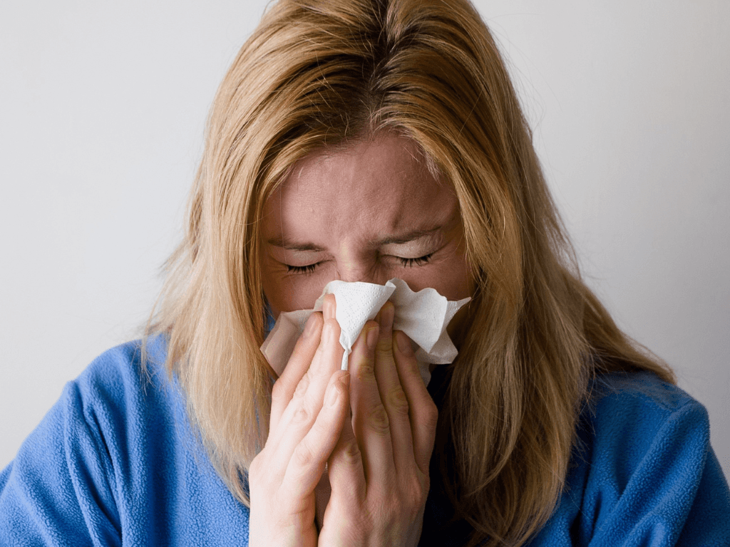 hantavirus, hantavirus sta je, hantavirus simptomi, hantavirus srbija, hantavirus kako se prenosi, andski virus,