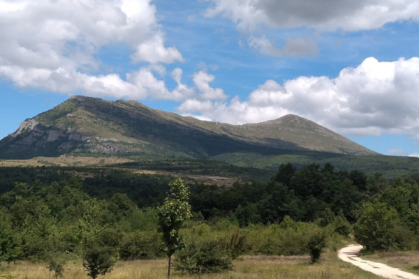 planina rtanj, planina rtanj zanimljivosti, planina rtanj rudnik, planina rtanj slike, planina rtanj gde se nalazi, planina rtanj i njene misterije, planina rtanj rude, planina rtanj energija, planine u srbiji, planine srbije, planine srbija, gde je planina rtanj, koliko je visoka planina rtanj, vrh siljak planina rtanj, planina rtanj misterija, planina rtanj legende, rtanjski čaj, biljober, bogovinska pećina,