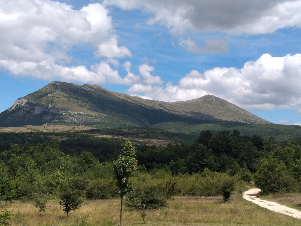 planina rtanj, planina rtanj zanimljivosti, planina rtanj rudnik, planina rtanj slike, planina rtanj gde se nalazi, planina rtanj i njene misterije, planina rtanj rude, planina rtanj energija, planine u srbiji, planine srbije, planine srbija, gde je planina rtanj, koliko je visoka planina rtanj, vrh siljak planina rtanj, planina rtanj misterija, planina rtanj legende, rtanjski čaj, biljober, bogovinska pećina,