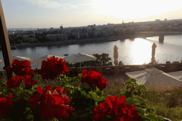 šta videti u novom sadu, novi sad znamenitosti, turističke atrakcije novi sad, petrovaradinska tvrđava, dunavski park, centar novog sada, vikend u novom sadu, šta obići u novom sadu,